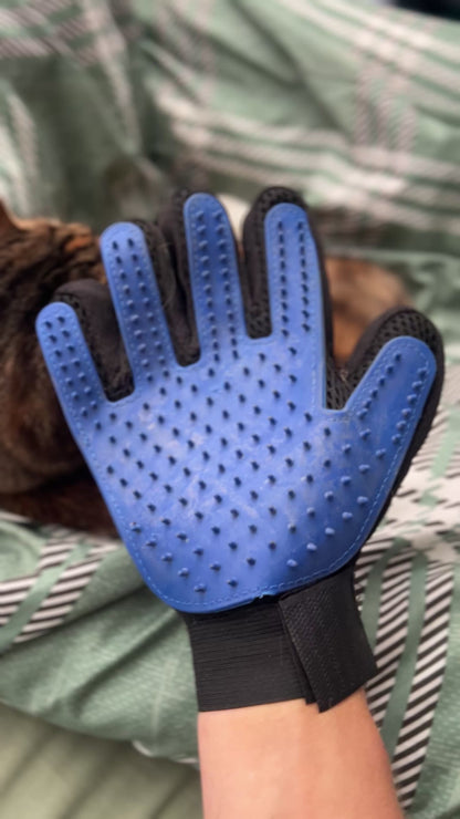 Grooming Gloves